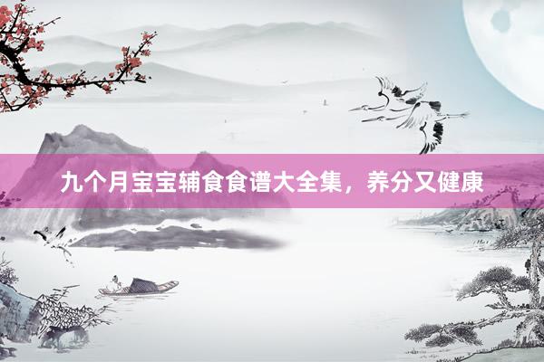 九个月宝宝辅食食谱大全集，养分又健康